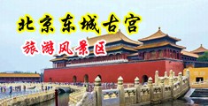小草草视频在线中国北京-东城古宫旅游风景区