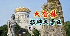 免费操的逼中国浙江-绍兴大香林旅游风景区